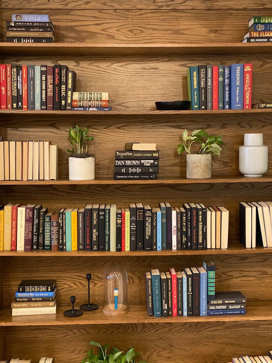 decluttered bookshelf allowing for a little plant life and greenery